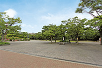 環境写真04枚目