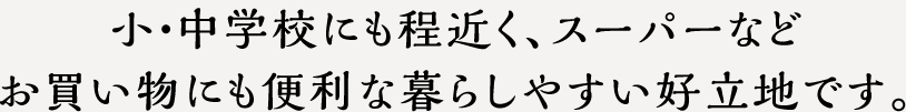 小・中学校にも程近く、スーパーなどお買い物にも便利な暮らしやすい好立地です。